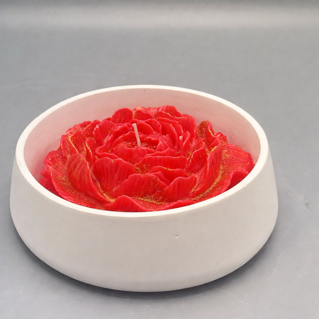 Rosa Aura - Imagen 4