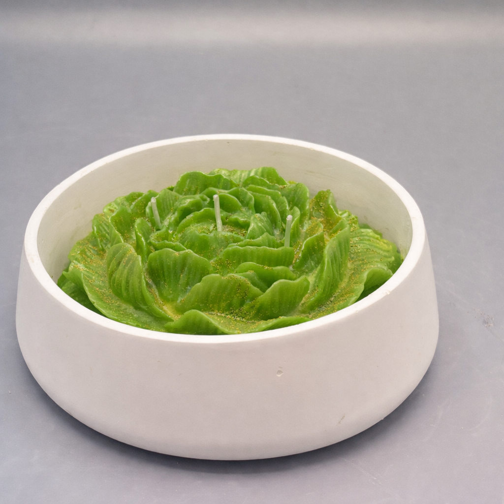 Rosa Aura - Imagen 5