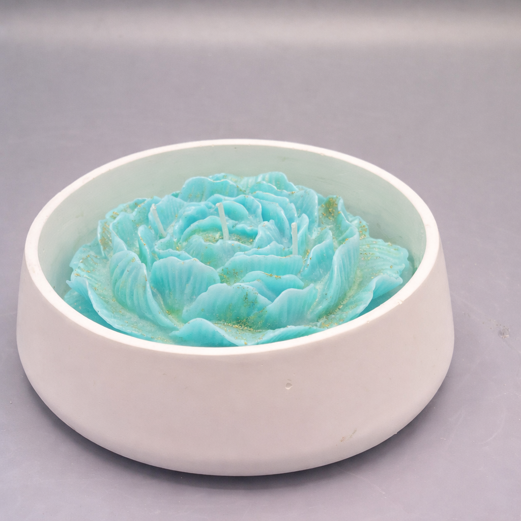 Rosa Aura - Imagen 6