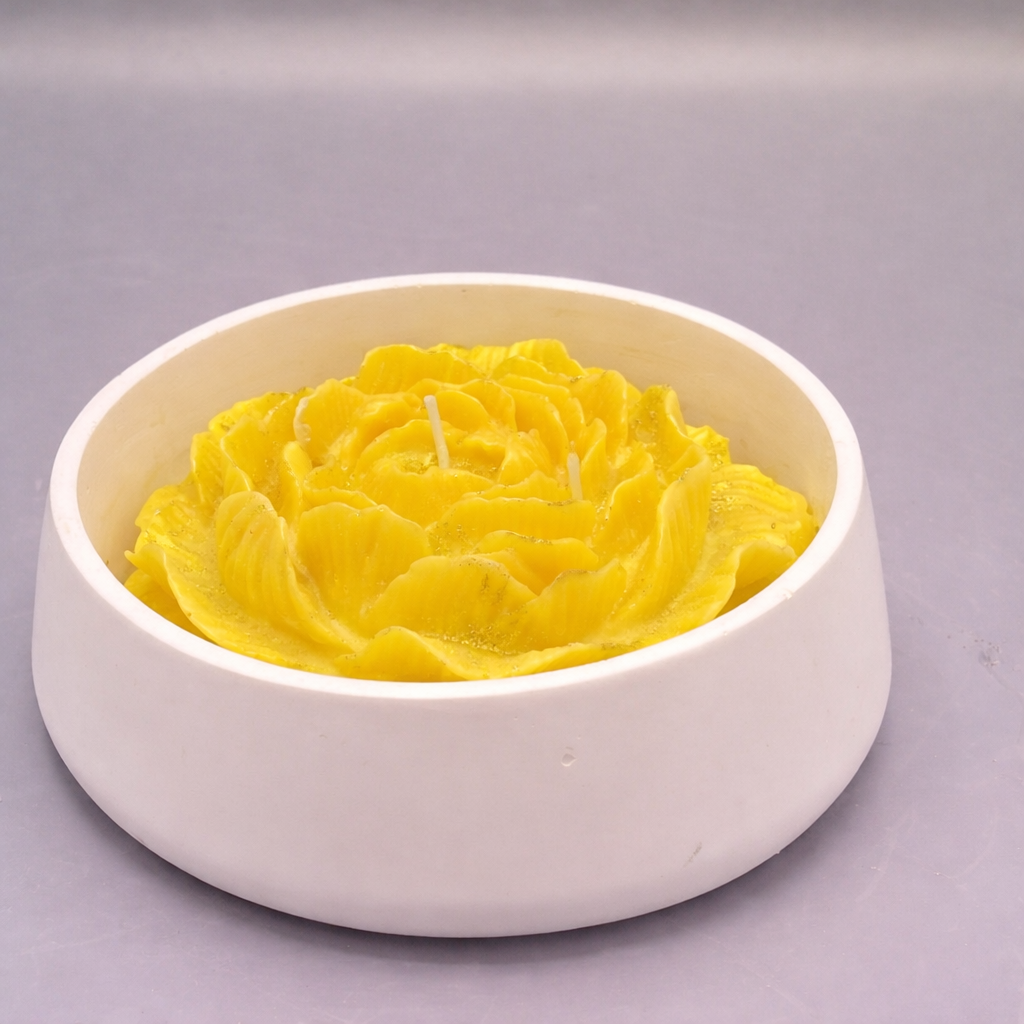 Rosa Aura - Imagen 8