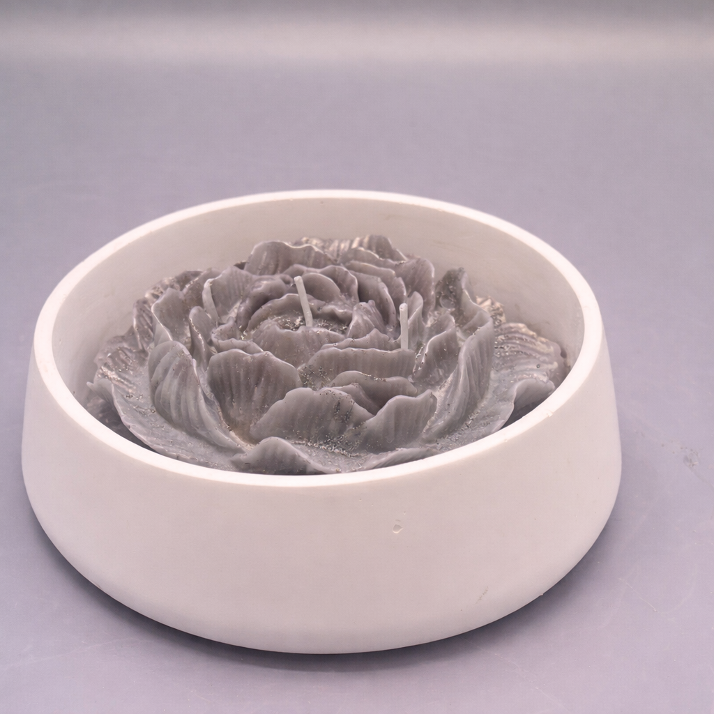 Rosa Aura - Imagen 10