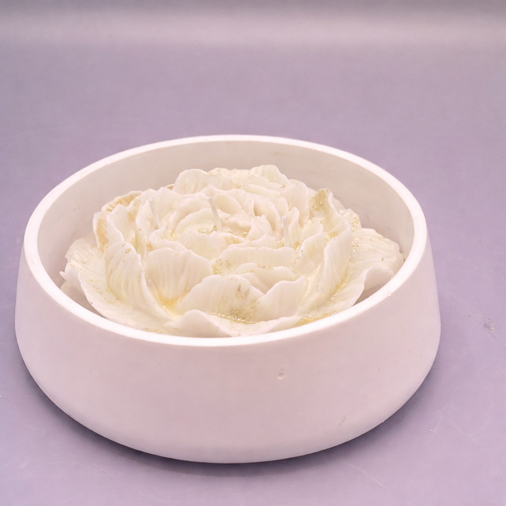 Rosa Aura - Imagen 11